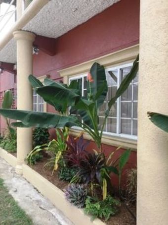Hotel Innflight Suites