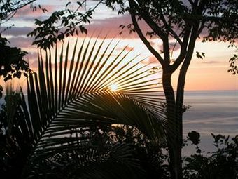 Hotel Nature's Paradise