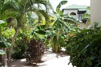 Hotel Ports Of Call Resort