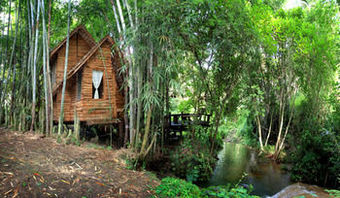 Hotel Rabeang Pasak Treehouse Resort