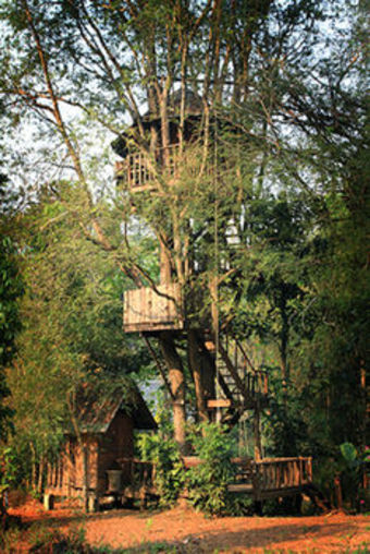 Hotel Rabeang Pasak Treehouse Resort