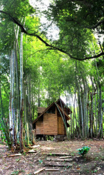 Hotel Rabeang Pasak Treehouse Resort