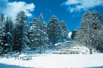 Hotel Wildflower Hall, In The Himalayas