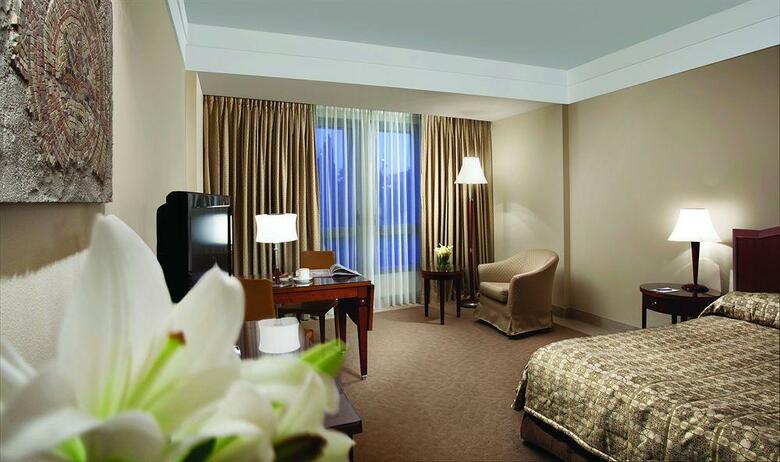 The David Citadel Hotel