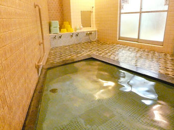 Hotel Shinwaka Lodge