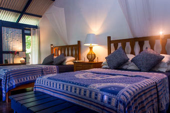 Hotel Blue Osa Yoga Retreat & Spa