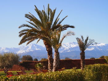 Hotel Dar Basma