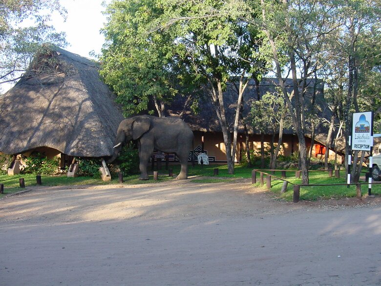 Posada Lokuthula Lodges