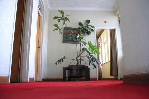 Hotel Ambassadeur