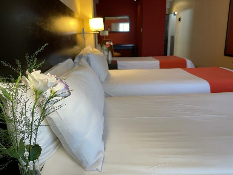 Hotel Duomi Plaza