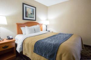 Hotel Comfort Inn Portage