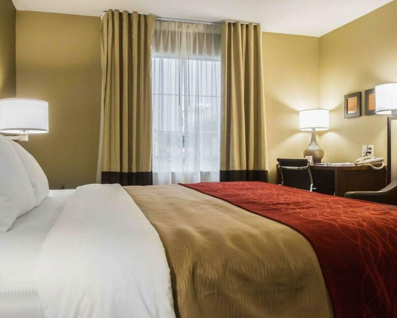 Hotel Comfort Inn & Suites Morgan City