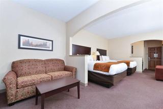 Hotel Comfort Suites Springfield