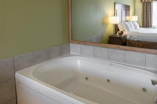 Hotel Best Western Plus Holland Inn & Suites