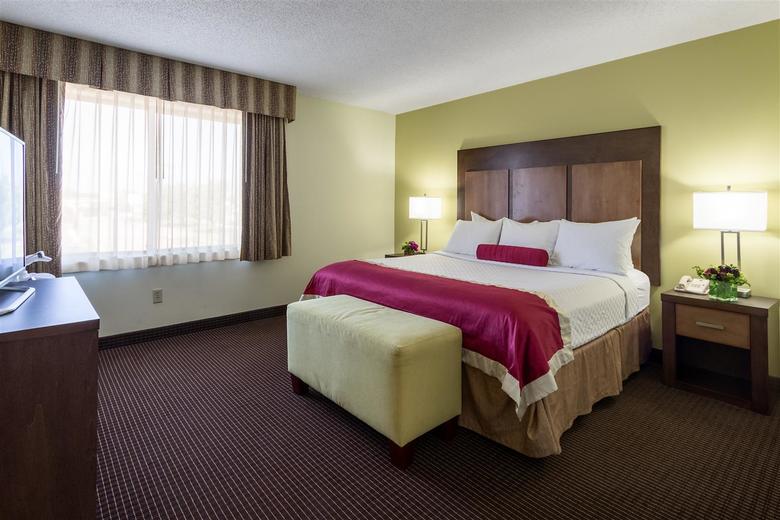Hotel Best Western Plus Holland Inn & Suites