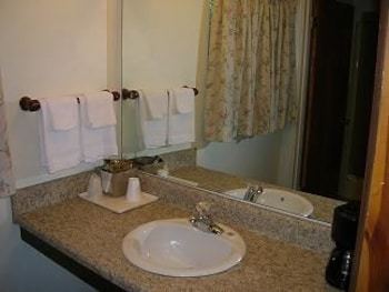 Motel The Mountaineer Inn