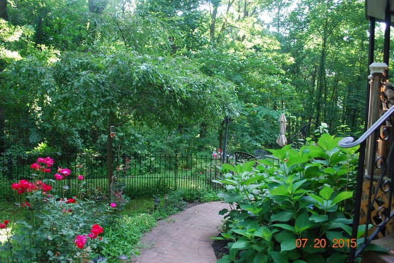 Bear House Bed And Breakfast