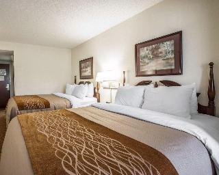 Hotel Comfort Inn And Suites