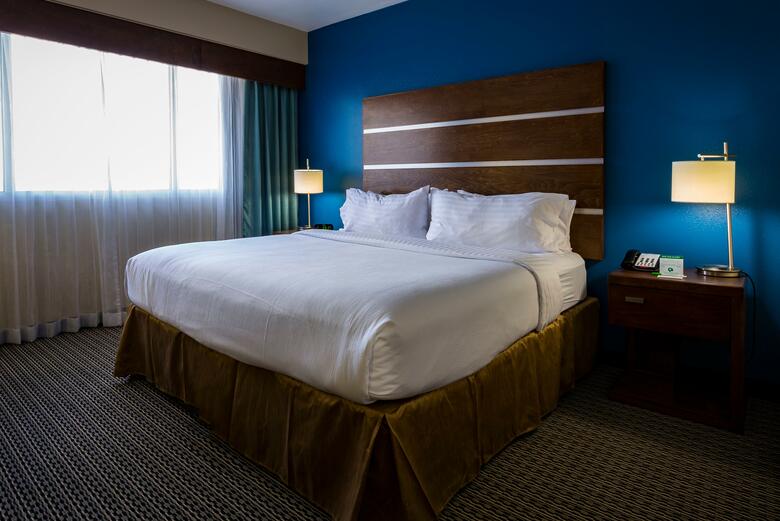 Hotel Holiday Inn Houston Downtown