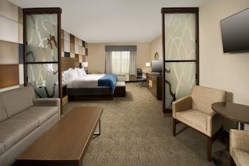 Hotel Holiday Inn Express & Suites Waco South