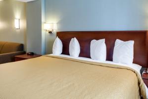 Hotel Quality Inn Chester