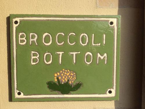 Bed & Breakfast Broccoli Bottom