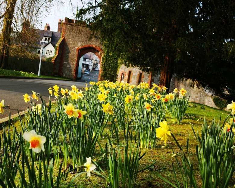 Ruthin Castle Hotel & Moat Spa