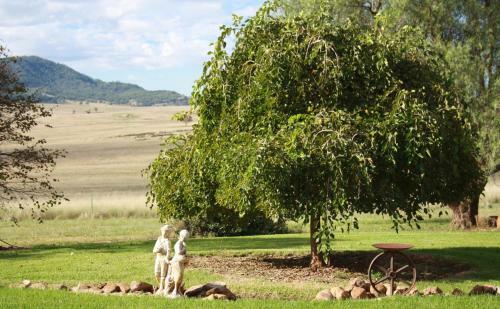 Bed & Breakfast Strathearn Park Lodge