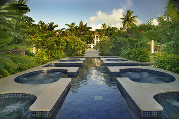 Hotel Banyan Tree