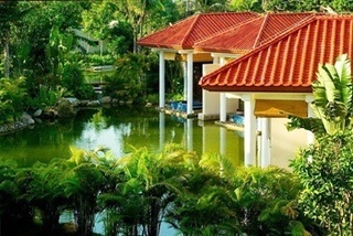 Hotel Banyan Tree