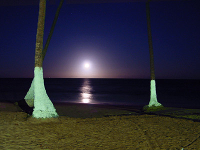 Hotel Praia Dourada