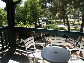 Hotel Palmyr