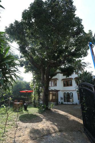 Posada Mango Hill Inn