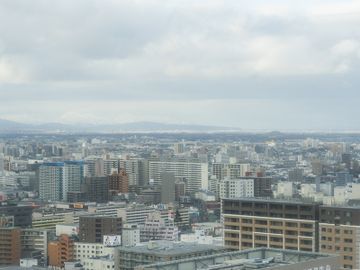 Hotel Ana Sapporo