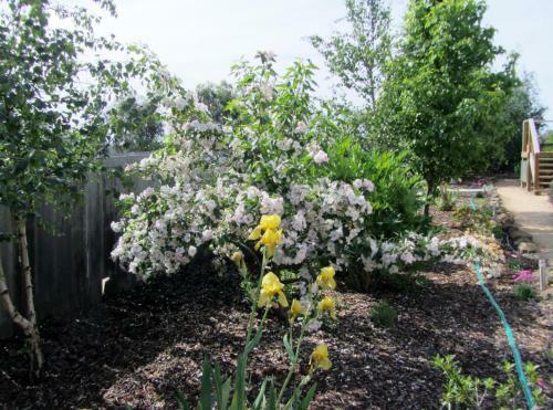 Bed & Breakfast Elm Trees Accommodation @ Ross