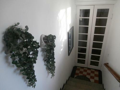Private Apartment For You