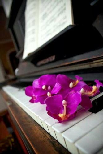 Bed & Breakfast Arts And Music