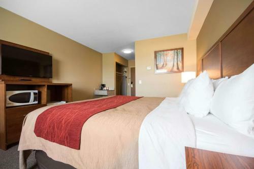 Hotel Super 8 Langley / Aldergrove