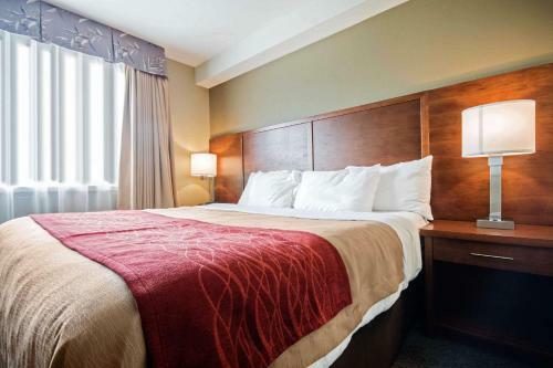 Hotel Super 8 Langley / Aldergrove