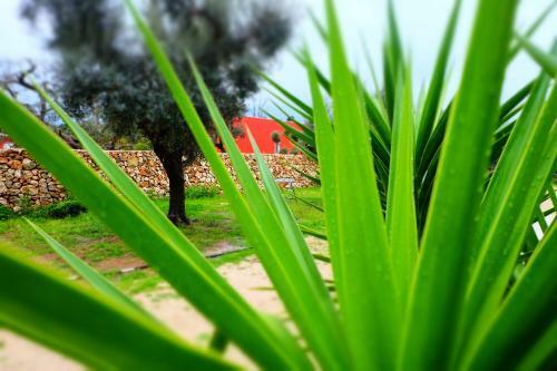 Apartamento Oasi San Pio
