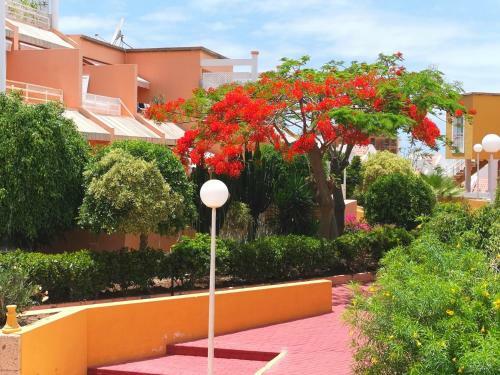Apartment Orlando Torviscas Bajo