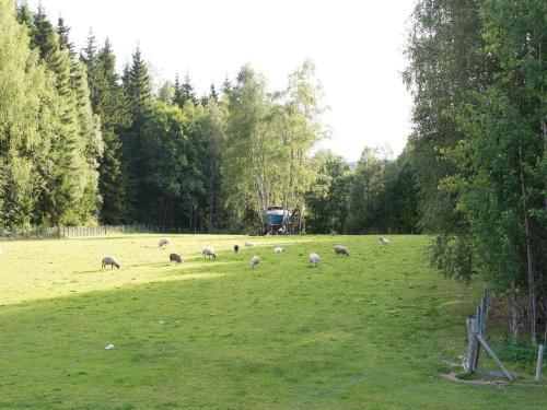 Agroturismo Lovelund Farm House