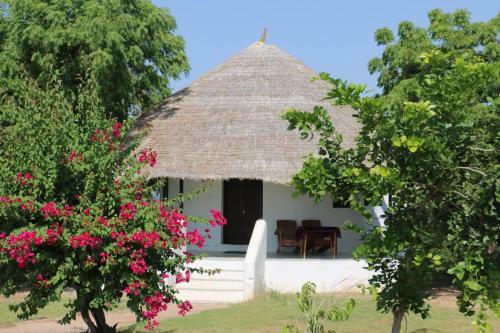 Hotel Kutch Safari Lodge