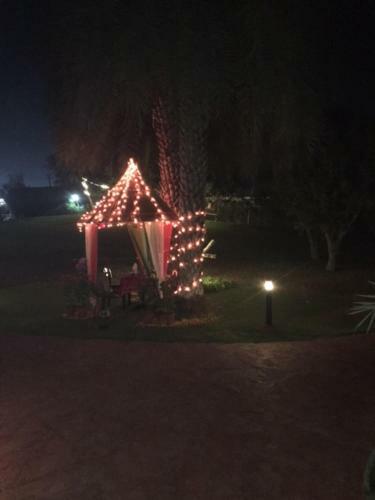 Hotel Shiva Oasis Resort