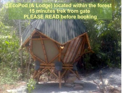Ecolodge Kasaguadua