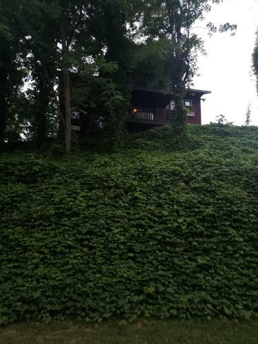 Hotel Nantahala Village