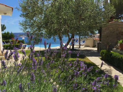 Apartments Lovic