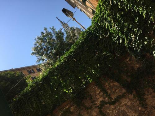 Apartamento Giardino Dei Limoni