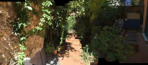 Apartamento Giardino Dei Limoni