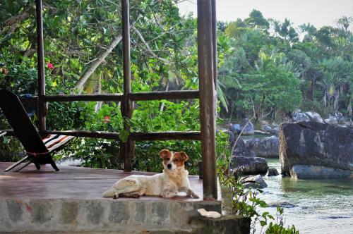 Apartamento Natiora Green Lodge